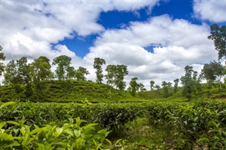 Bangladesh weather forecast