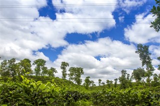 Bangladesh weather forecast