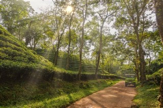 Bangladesh weather forecast