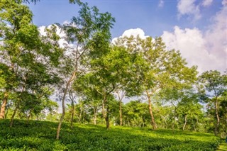 Bangladesh weather forecast