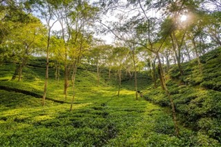 Bangladesh weather forecast