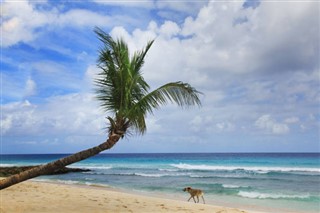 Barbados weather forecast