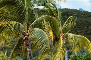 Barbados weather forecast