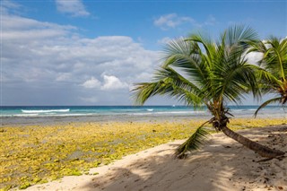 Barbados weather forecast