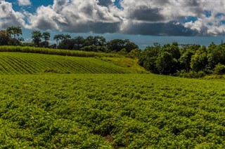 Barbados weather forecast