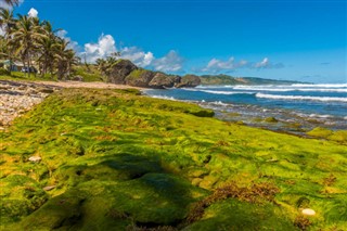 Barbados vremenska prognoza