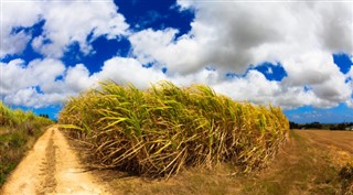 Barbados weather forecast