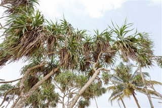 Barbados weather forecast