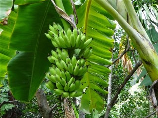 Barbados prognoza pogody