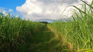 Barbados weather forecast