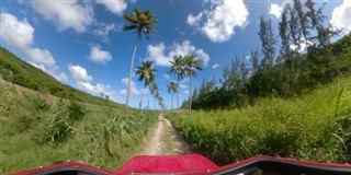 Barbados weather forecast