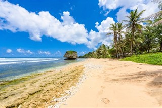 Barbados weather forecast