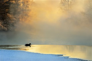 Belarus weather forecast