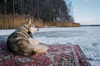 Belarus weather forecast