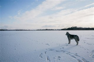 Belarus weather forecast