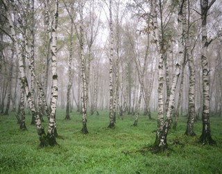 Belarus weather forecast