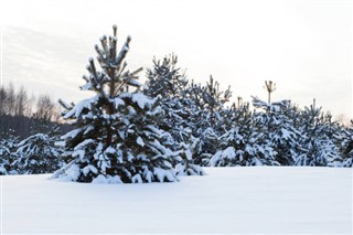 Belarus weather forecast