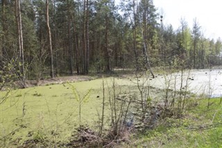 Belarus weather forecast