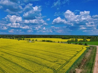 Belarus weather forecast