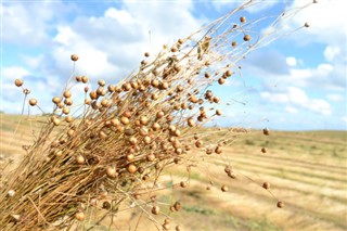 Belarus weather forecast