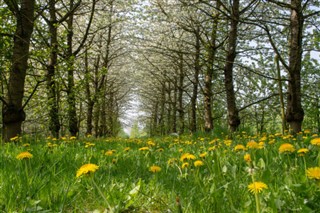 Belgium weather forecast