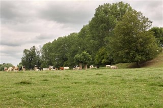 Belgium weather forecast