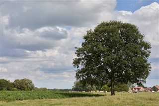 Belgium weather forecast