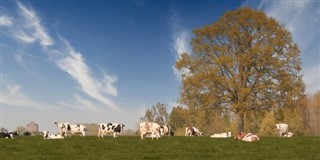 Belgium weather forecast