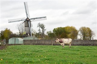 Belgium weather forecast