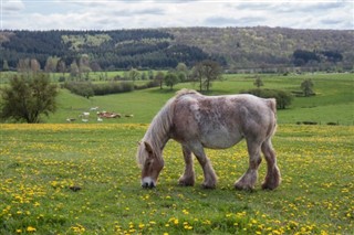 Belgija vremenska prognoza