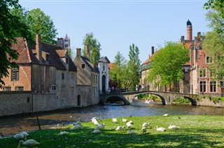 Belgium weather forecast