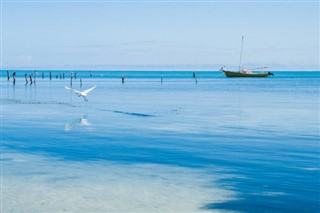 Belize weather forecast