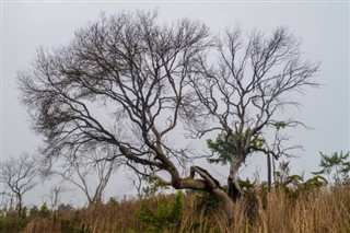 Belize weather forecast