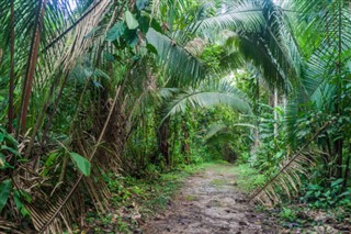 Belize weather forecast