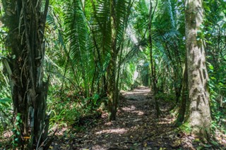 Belize prognoza pogody