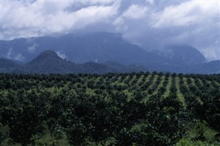 Belize weather forecast