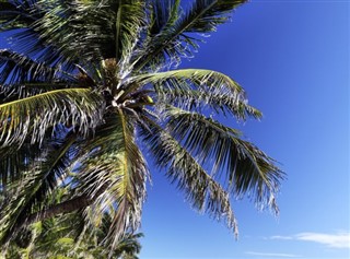 Belize weather forecast