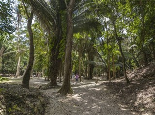 Belize weather forecast