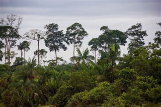 Belize weather forecast