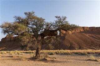 Benin vremenska prognoza