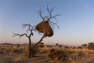 Benin vremenska prognoza