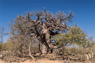 Benin vremenska prognoza