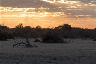 Benin prognoza pogody