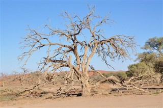 Benin weather forecast