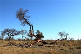 Benin prognoza pogody