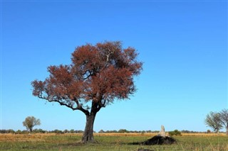 Benin prognoza pogody