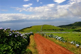 Bermuda weather forecast