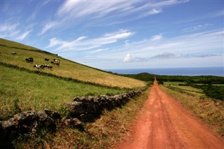 Bermuda weather forecast