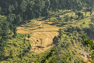 Bhutan prognoza pogody