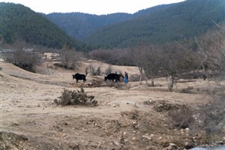 Bhutan weather forecast